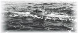 Biber at sea