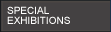 Special exhibitions