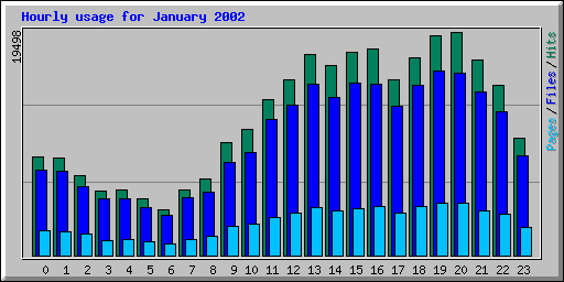Hourly usage for January 2002